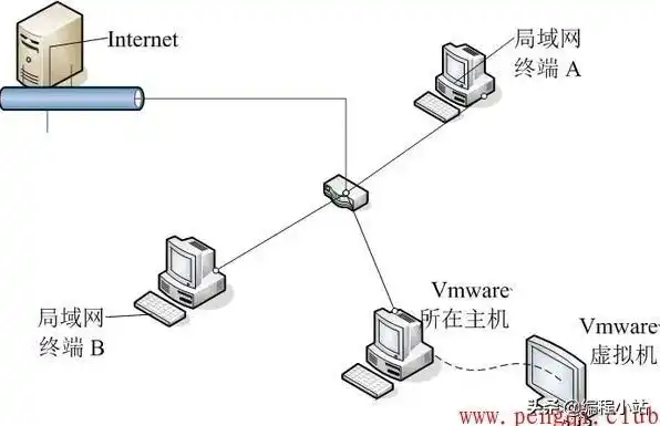 vmware虚拟机上网 主机无线，深入解析VMware虚拟机无线网络连接方式，主机无线网络共享技巧与应用