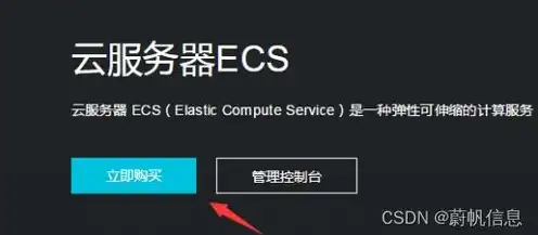 云服务器ecs是什么意思，深入解析云服务器ECS，云计算时代的基础设施核心