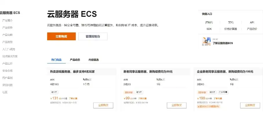 怎样使用阿里云服务器ecs，阿里云服务器ECS使用指南，从入门到精通