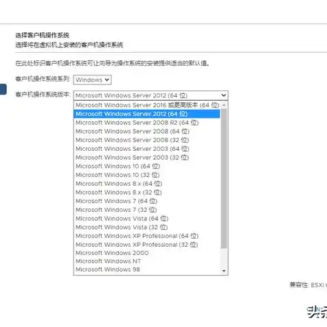 vmware虚拟机镜像下载win10，VMware虚拟机镜像下载教程，轻松搭建Win10虚拟机环境