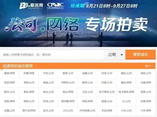 中文域名注册查询工具官网，全方位解读中文域名注册查询工具官网，助力您轻松查询与注册中文域名