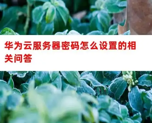 华为云服务器密码在哪里，华为云服务器密码查看攻略，轻松找回您的账户密码