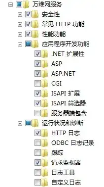 asp服务器组件和控件安装顺序，ASP服务器组件与控件安装全攻略，从基础到实践