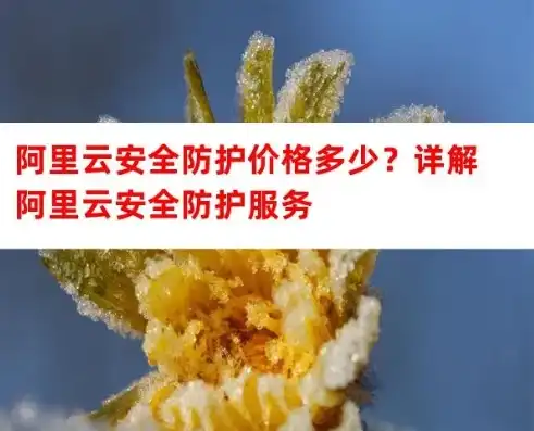 阿里云服务器安全防护多少钱一个，全面解析阿里云服务器安全防护方案，价格与优势一网打尽