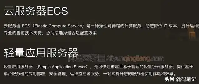 阿里云云服务器ECS，深入解析阿里云云服务器ECS，性能、安全与运维全面攻略