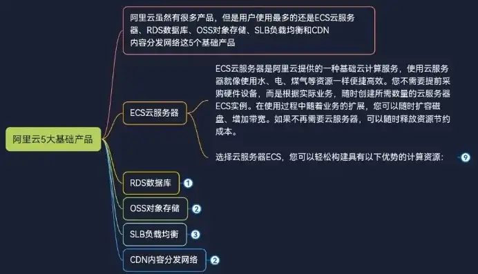 阿里云云服务器ECS，深入解析阿里云云服务器ECS，性能、安全与运维全面攻略