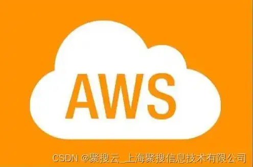 aws 云服务，深入解析AWS云服务器自动分配域名的优势与应用场景