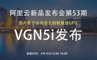 云服务器平台公司全称，阿里云计算有限公司，引领云服务新时代的领军企业