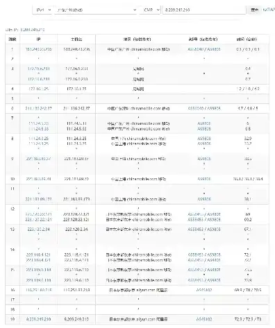 阿里日本云服务器怎么用，阿里日本云服务器使用指南，轻松上云，助力企业全球化布局