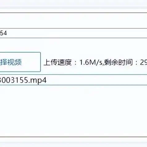 oss和云盘，深入解析OSS与云服务器，区别、应用场景及选择指南