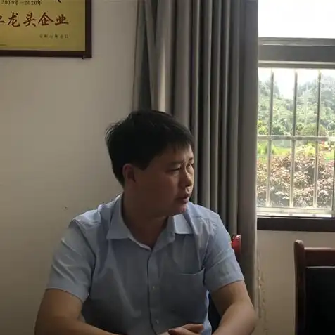 阿里云服务器租用教程，阿里云服务器租用教程，轻松上手，实现云上业务无忧运行