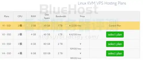 vps云主机怎么搭建网站教程，VPS云主机搭建网站教程，从入门到精通