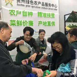 云服务器代理加盟条件是什么，云服务器代理加盟条件详解，开启您的云服务事业之路