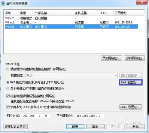 vmware虚拟机nat怎么联网，VMware虚拟机NAT联网攻略，轻松实现虚拟机网络连接