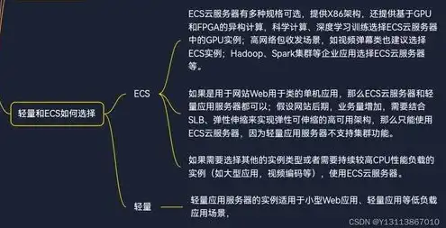 轻量云服务器与ecs的区别，深入解析，轻量云服务器与ECS的区别与应用场景