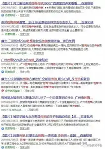 怎么查域名是哪个公司注册的商标，揭秘域名背后的真相，教你如何查询域名注册公司及商标信息