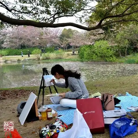 日本樱花服务器地址，日本樱花云服务器免费网站入口，云端漫步，尽享樱花飘舞之美