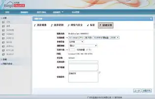 云服务VPC，云服务VPS，深度解析VPC架构下的虚拟主机解决方案