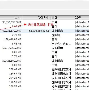 vmware vmdk文件，深入探讨VMware VMDK文件，可否删除及其注意事项