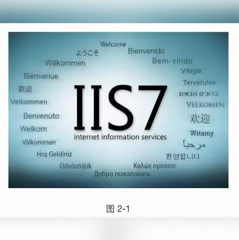 iis的安装及web服务器配置，详解IIS服务器安装与Web服务器配置步骤及技巧