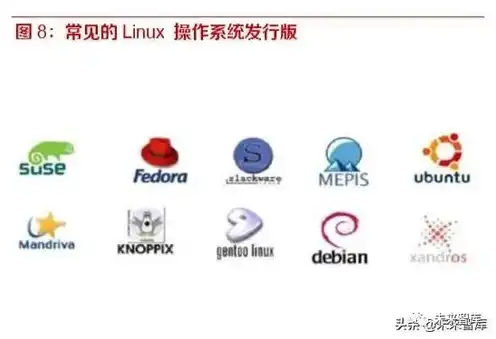 linux服务器系统有哪些版本，Linux服务器系统版本解析，多样性与适应性并存