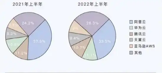 国内云服务器厂商排名前十，2023年中国云服务器市场十大厂商排名及综合分析报告