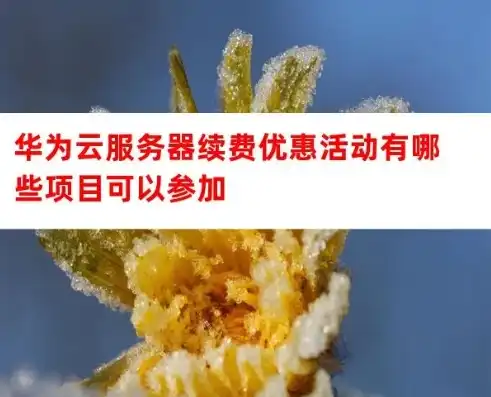 华为云服务器续费多少钱，华为云服务器免费试用到期后续费攻略，费用明细及优化建议