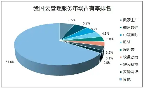 msp 云服务，国内云MSP服务商市场分析，机遇与挑战并存，行业未来展望