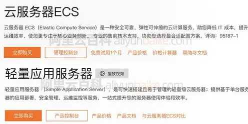 轻量服务器和云服务器ecs哪个好用推荐，轻量服务器与云服务器ECS对比，性能、性价比与适用场景深度解析