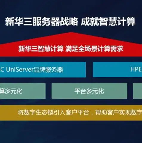 国内云服务器商，揭秘国内云服务器加盟代理项目，机遇与挑战并存，如何抓住市场先机？