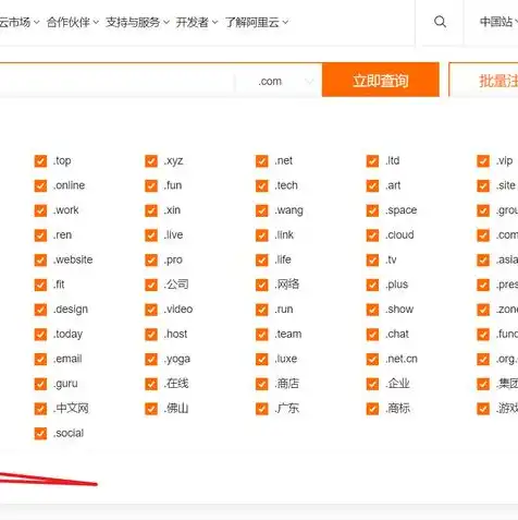 阿里云注册域名怎么查看，阿里云注册域名查看指南，轻松掌握域名信息查询方法
