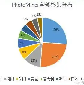 病毒服务器价格一览表下载，深度解析，病毒服务器价格一览表，揭秘黑产幕后交易真相