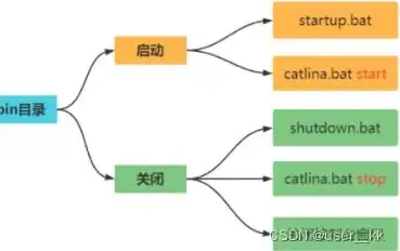 云交换机是什么意思，云交换机在云服务器选择中的关键作用及其工作原理详解