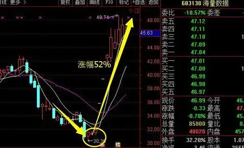 日本服务器多少钱一个，日本服务器价格解析，性价比之选，揭秘不同类型服务器的价格差异