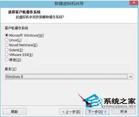 虚拟机vmware16安装教程win10，VMware 16安装Windows 10详细教程，轻松搭建虚拟操作系统环境