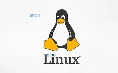 安装linux服务器操作系统有哪些功能可以用，Linux服务器操作系统安装后必备功能解析及作用详解