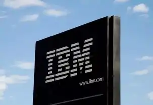 ibm服务器管理口，深入解析IBM服务器管理软件，功能特点与实际应用案例分析