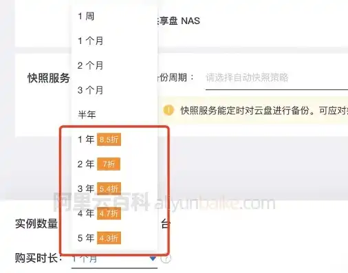 阿里服务器租用价格多少，2023年阿里云服务器租用价格全面解析，性价比与配置大揭秘