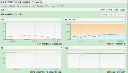 vps 虚拟机，深入解析美国VPS虚拟机，性能、优势与应用场景全面分析