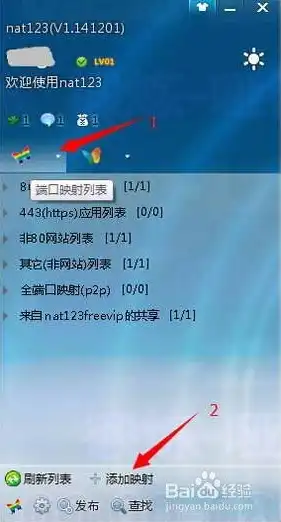 局域网共享服务器怎么让外网访问网络，局域网共享服务器突破内外网限制，轻松实现外网访问全攻略