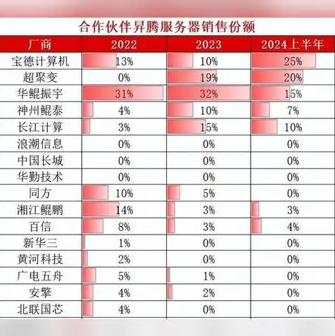 国内服务器运营商，中国主要运营商服务器名称及特点解析