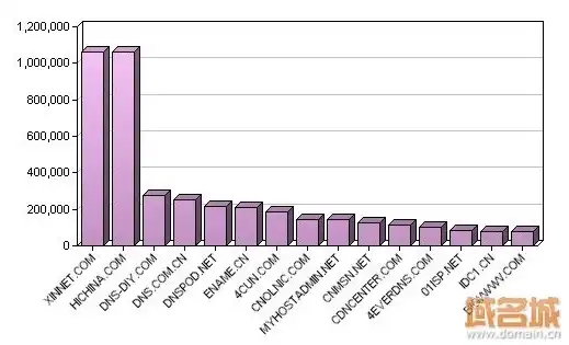 服务器域名购买数据怎么看，揭秘服务器域名购买数据，如何解读与分析