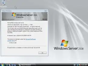 服务器系统window2008，深入解析Windows Server 2008服务器系统在运维中的应用与优化