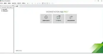 vmware15.5破解版，VMware 15.5破解版下载攻略，免费使用专业虚拟机软件，轻松实现多系统并行运行！