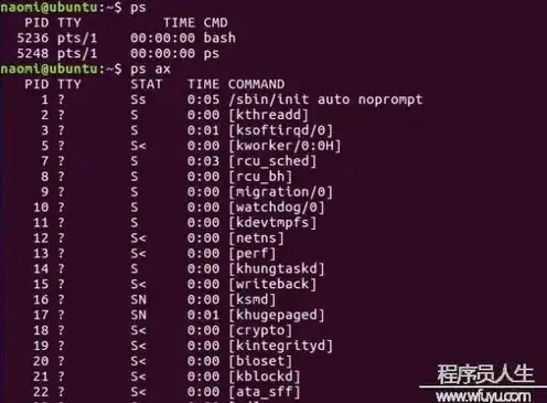 linux服务器配置查看命令，Linux服务器配置查看命令详解及实战应用