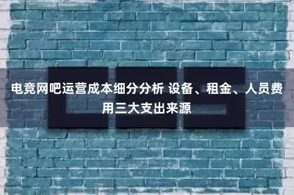 网吧系统服务器费用高吗，网吧系统服务器费用分析，全面解读网吧运营成本及性价比