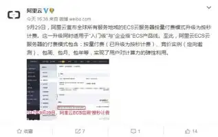 阿里云国际版服务器被按量使用扣费退款，阿里云国际版服务器按量使用扣费退款详解，流程、条件与案例分析