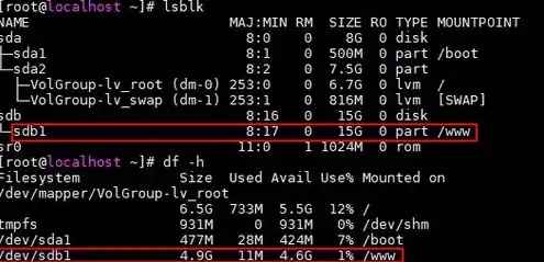 linux系统云服务器磁盘扩容，Linux系统云服务器磁盘扩容实战指南，原理、步骤与注意事项