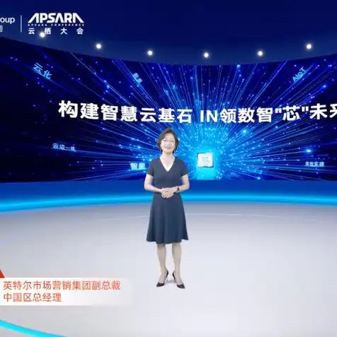 阿里云域名服务器地址是什么，揭秘阿里云域名服务器IP地址，稳定可靠的网络基石