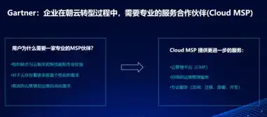 云管理网络和msp区别，深入解析，云管理网络与MSP服务商的区别与联系